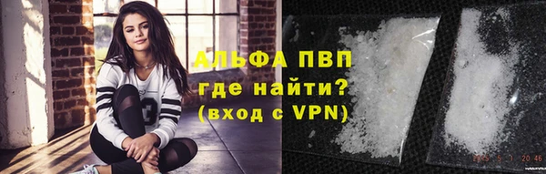 стафф Надым