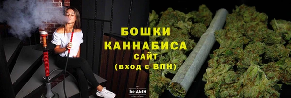 стафф Надым